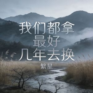 我们都拿最好几年去换