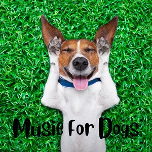 Classical Music For Dogs