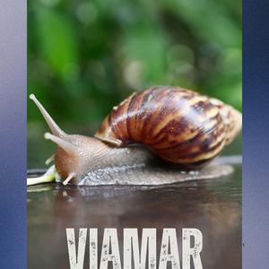 viamar
