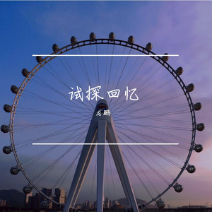 试探回忆