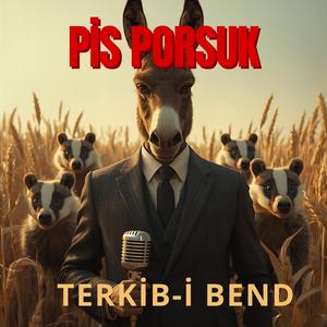 Pis Porsuk
