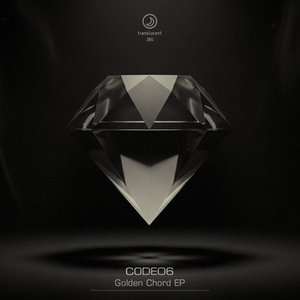 06