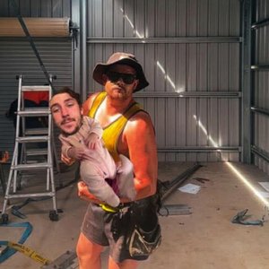 The Hero of Springberg Lane