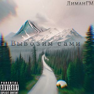 Вывозим сами