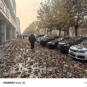 心跳的共振