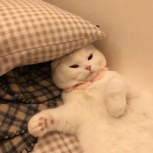 love9（咚鼓版）