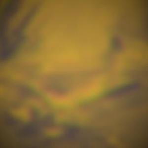 PA LLENARLA DE COLOR