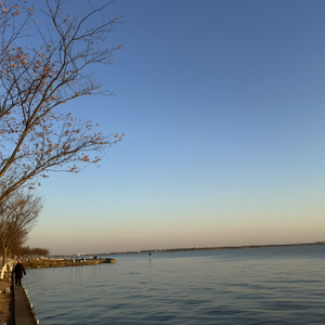 湖心夜畔的星光幻梦