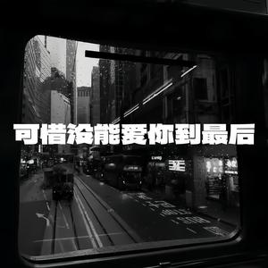 可惜没能爱你到最后