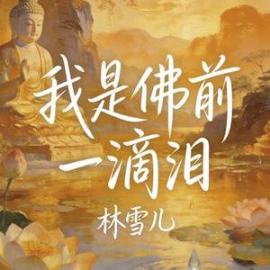 我是佛前一滴泪