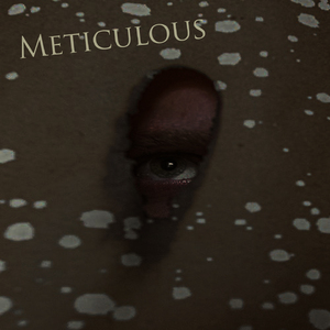 Meticulous