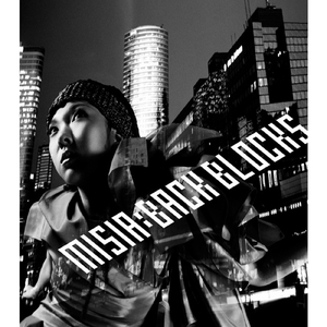 飛び方を忘れた小さな鳥 (STAR OCEAN version)