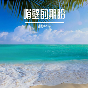 坚持的回响