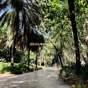 适合办公事务轻快的音乐