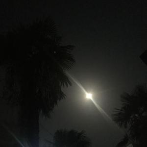 Don't lose your heart