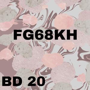 FG68KH (BD20)