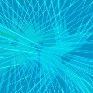 Shortest Day of the Year