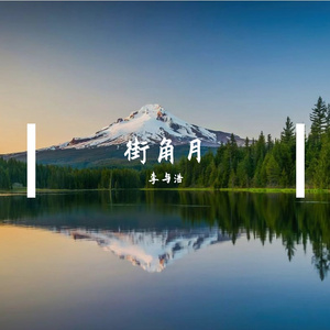 理想伴流年