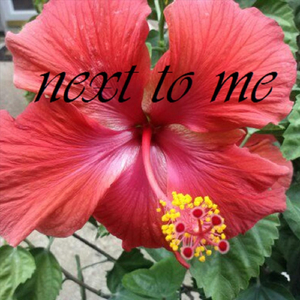 Next to Me