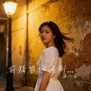 前路皆坦途别慌张