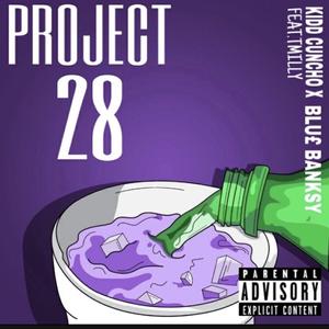 PROJECT28