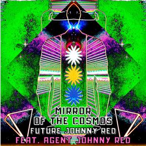 Mirror of the Cosmos