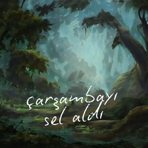 ÇARŞAMBAYI SEL ALDI