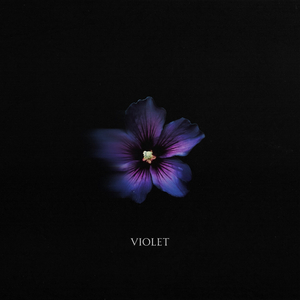 Violet