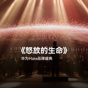 怒放的生命 (MATE Version)