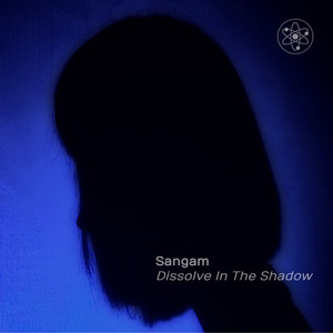 Dissolve in the Shadow