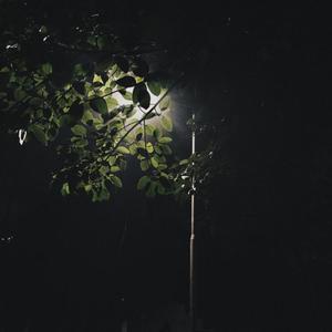 シニカルナイトプラン（翻自 初音ミク）