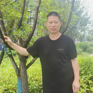 一生只够爱一人