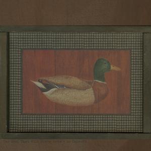 I Think I Layed Down In The Pop Rocks In Your Bed