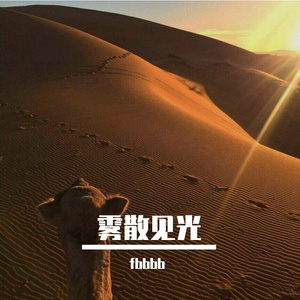 雾散见光