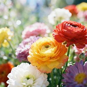 拥抱的理由 (Remix)