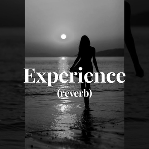 experience (reverb)