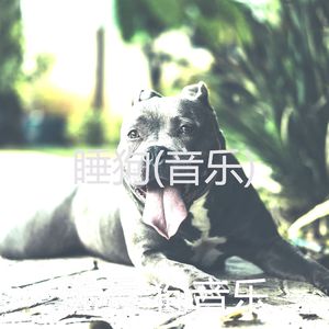 休闲装(音乐)