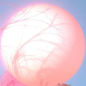 寄夏予你（片段）