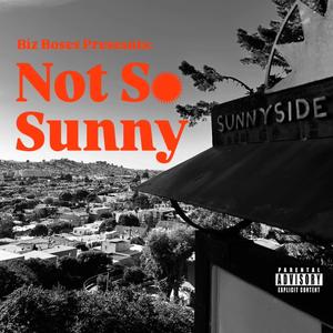 Biz Boses - Not So Sunny