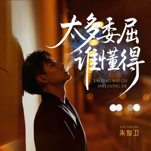 太多委屈谁懂得