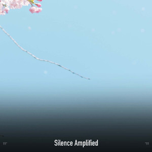 Soothing Plane Cabin Noise