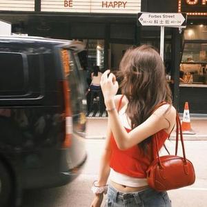 西楼儿女 (Cover 海来阿木)