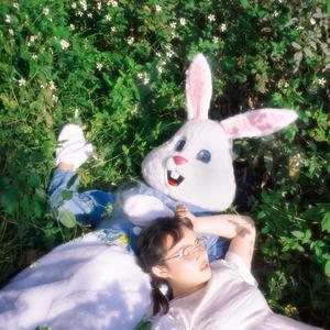 我想和你生一只兔