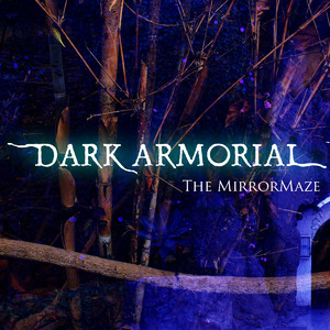 The Mirrormaze