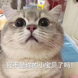 说爱你