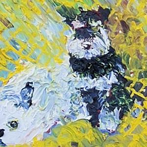 《希望未来有你》