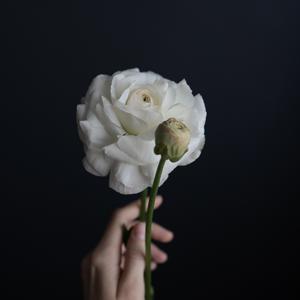 Aking Pahinga (feat. poisonhxrzy)