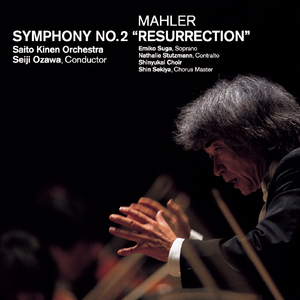 Symphony No. 2 in C Minor "Resurrection":I. Allegro maestoso (Mit durchaus ernstem und feierlichem Ausdruck)