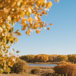 暮雨萧萧洒江天