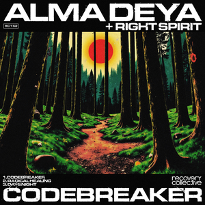 Codebreaker